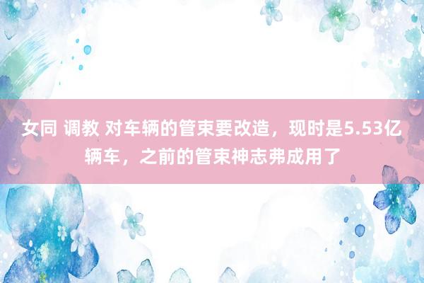 女同 调教 对车辆的管束要改造，现时是5.53亿辆车，之前的管束神志弗成用了