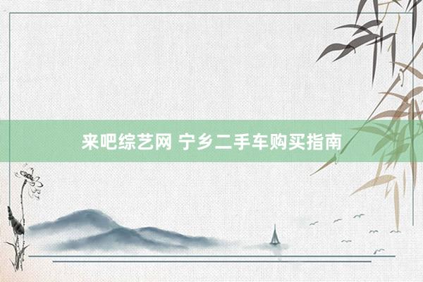 来吧综艺网 宁乡二手车购买指南