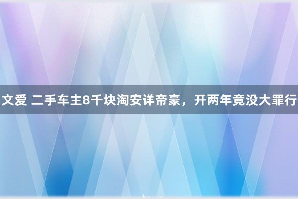 文爱 二手车主8千块淘安详帝豪，开两年竟没大罪行