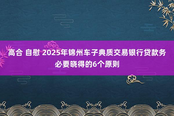 高合 自慰 2025年锦州车子典质交易银行贷款务必要晓得的6个原则