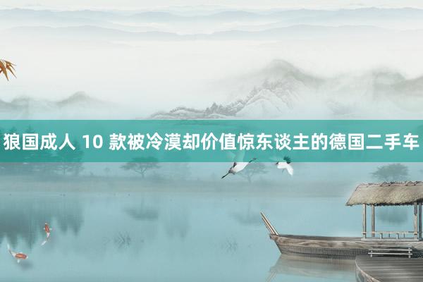 狼国成人 10 款被冷漠却价值惊东谈主的德国二手车