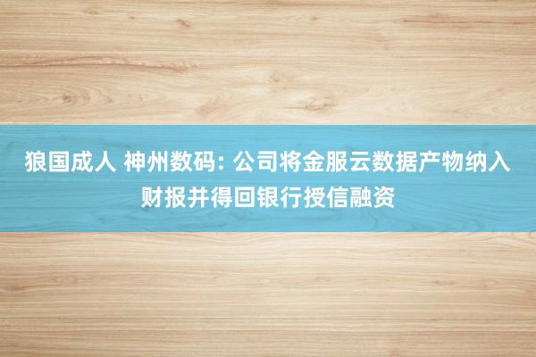 狼国成人 神州数码: 公司将金服云数据产物纳入财报并得回银行授信融资