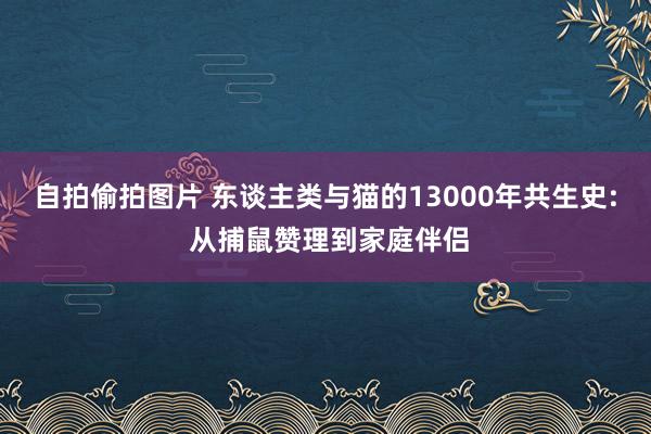 自拍偷拍图片 东谈主类与猫的13000年共生史: 从捕鼠赞理到家庭伴侣