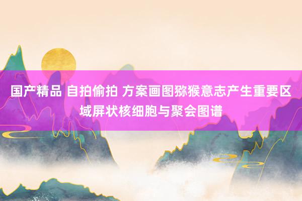 国产精品 自拍偷拍 方案画图猕猴意志产生重要区域屏状核细胞与聚会图谱