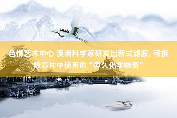 色情艺术中心 澳洲科学家研发出新式滤膜， 可拆除芯片中使用的“恒久化学物资”