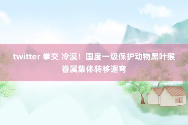 twitter 拳交 冷漠！国度一级保护动物黑叶猴眷属集体转移遛弯