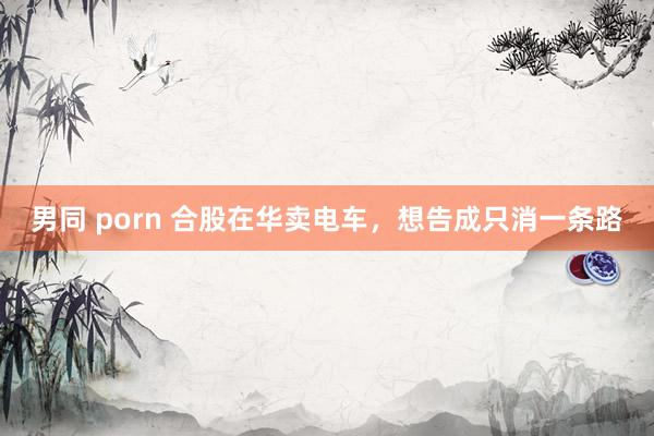 男同 porn 合股在华卖电车，想告成只消一条路
