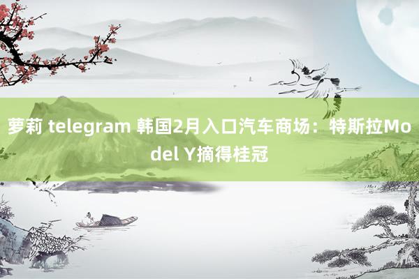 萝莉 telegram 韩国2月入口汽车商场：特斯拉Model Y摘得桂冠