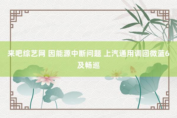 来吧综艺网 因能源中断问题 上汽通用调回微蓝6及畅巡