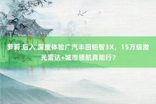萝莉 后入 深度体验广汽丰田铂智3X，15万级激光雷达+城市领航真能行？