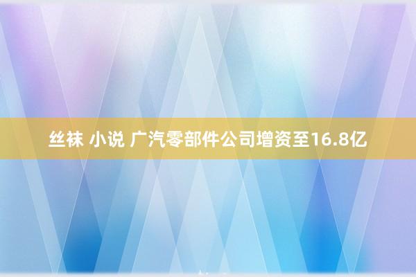 丝袜 小说 广汽零部件公司增资至16.8亿