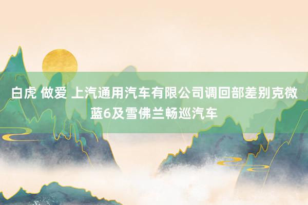 白虎 做爱 上汽通用汽车有限公司调回部差别克微蓝6及雪佛兰畅巡汽车
