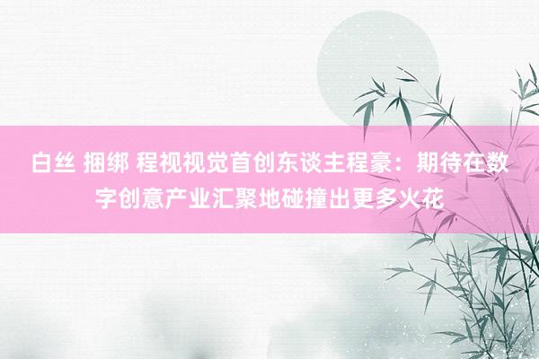 白丝 捆绑 程视视觉首创东谈主程豪：期待在数字创意产业汇聚地碰撞出更多火花